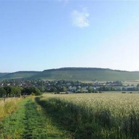 Landpension Wachtkopf Файинген-ан-дер-Энц Экстерьер фото