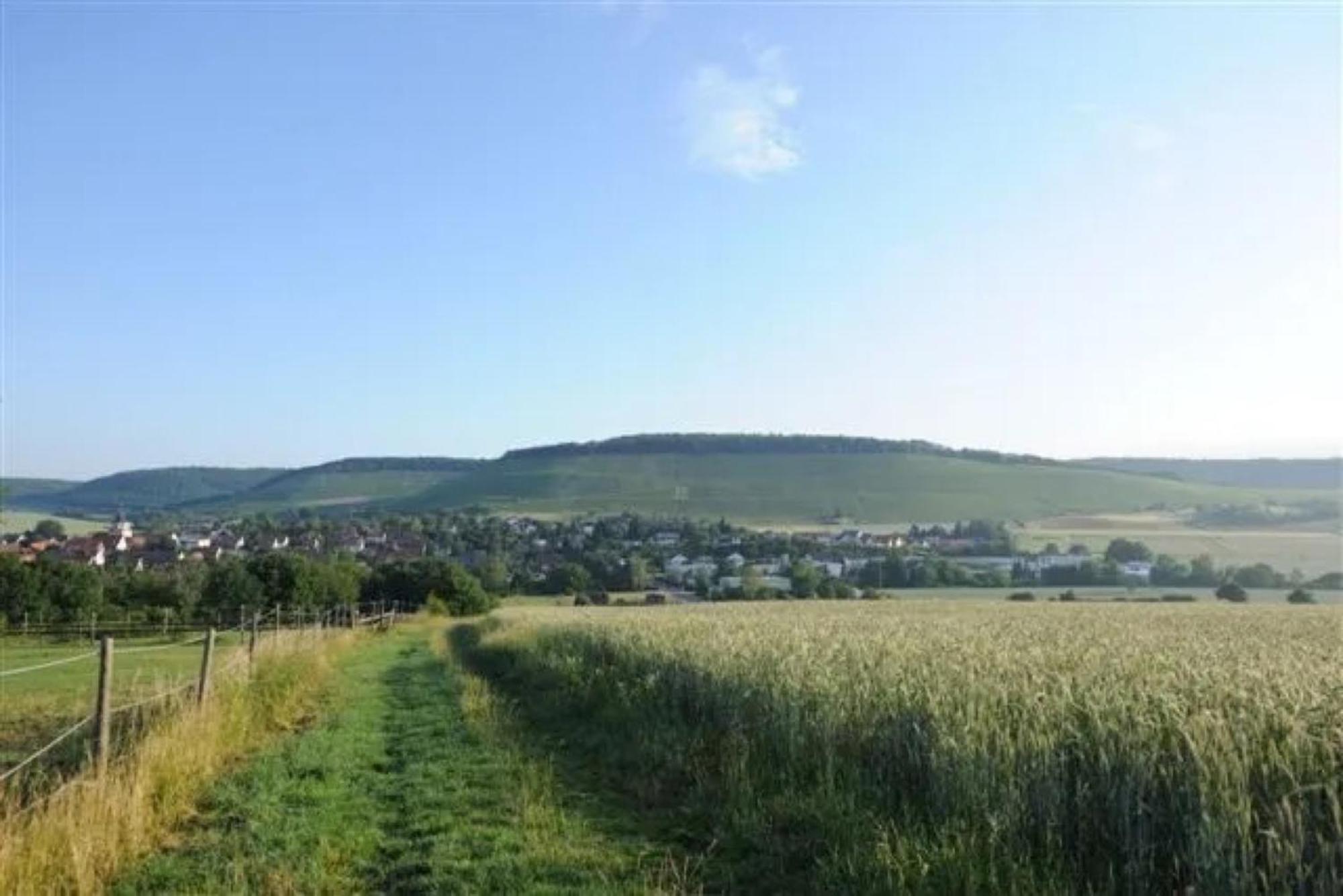 Landpension Wachtkopf Файинген-ан-дер-Энц Экстерьер фото