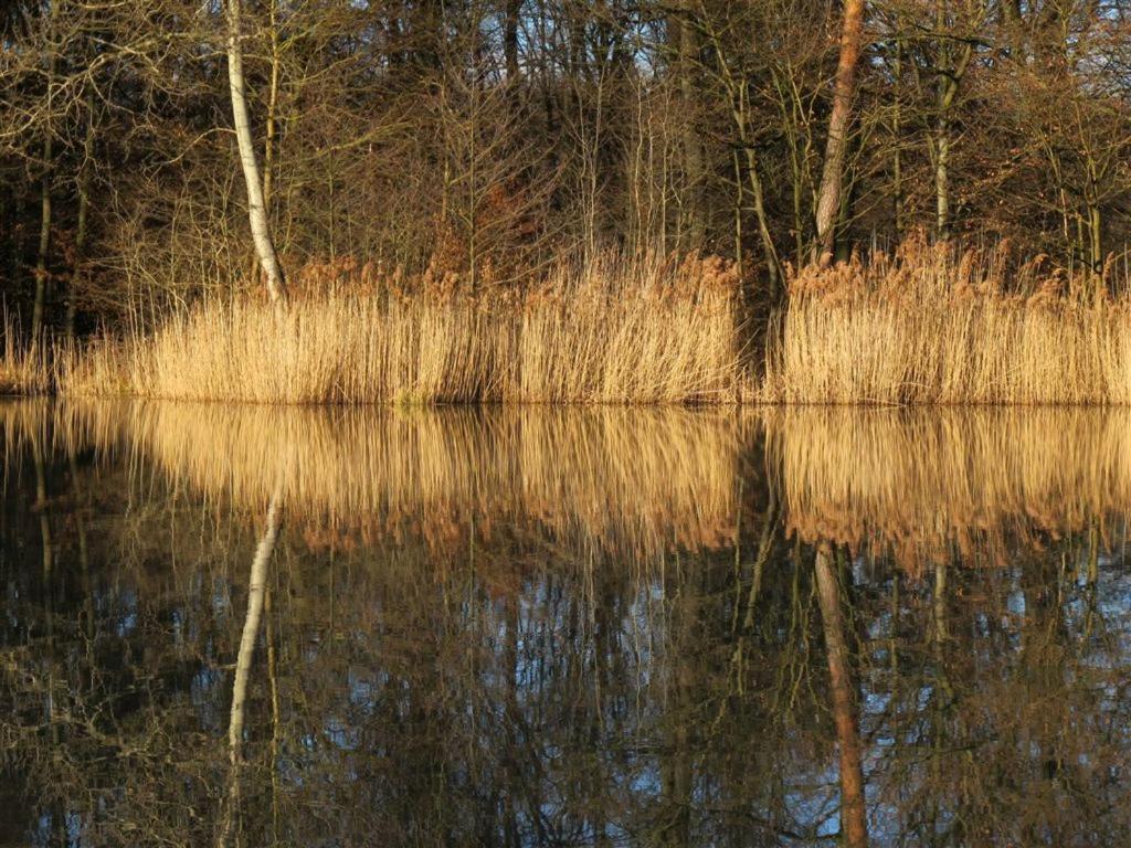 Landpension Wachtkopf Файинген-ан-дер-Энц Экстерьер фото