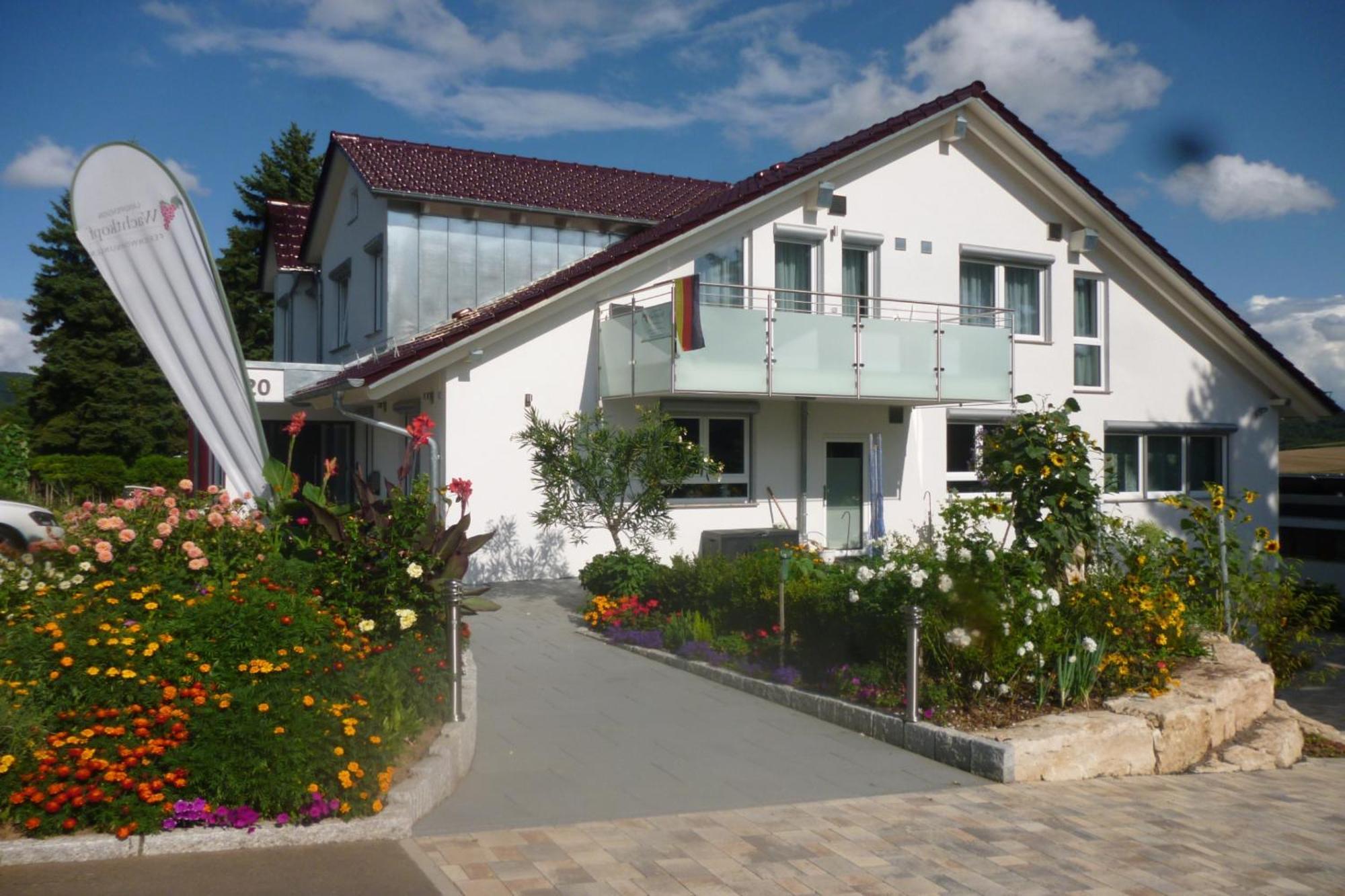 Landpension Wachtkopf Файинген-ан-дер-Энц Экстерьер фото