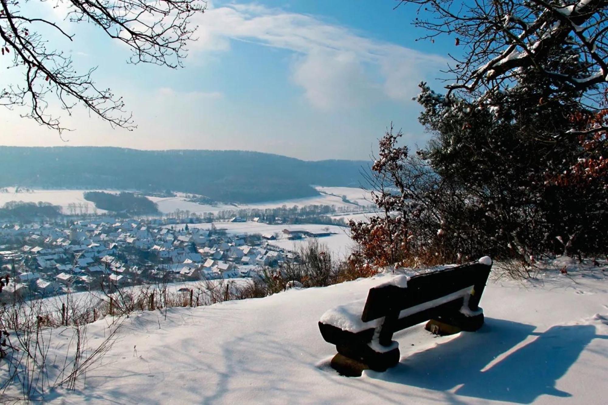 Landpension Wachtkopf Файинген-ан-дер-Энц Экстерьер фото